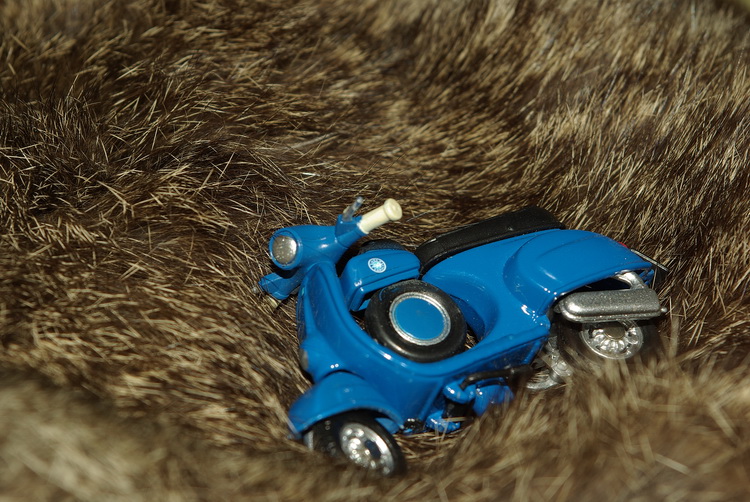Test macro: vecchio zoom Pentax F 28/80 montato su  K10D